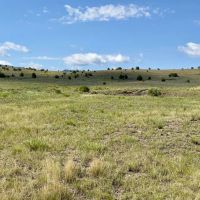 Cougar Ridge Ranch images 5