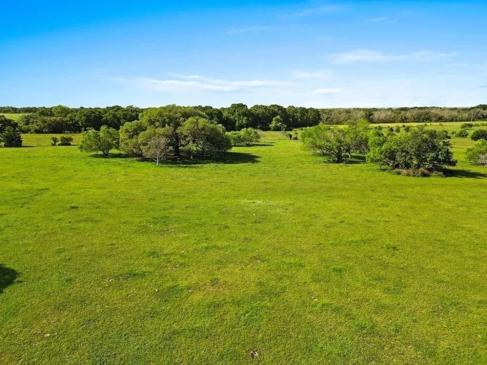 80 acres 2080 FM 155 Weimar TX Colorado County featured image