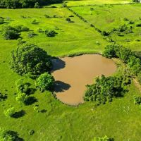 80 acres 2080 FM 155 Weimar TX Colorado County images 2