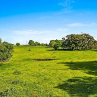 80 acres 2080 FM 155 Weimar TX Colorado County images 4