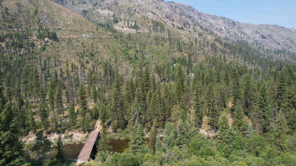 Yellow Pine Acreage featured image