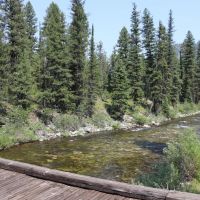 Yellow Pine Acreage images 5