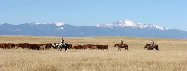 Heartbar Ranch featured image