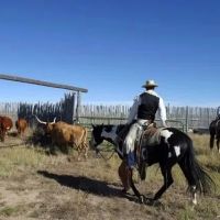 Heartbar Ranch images 2