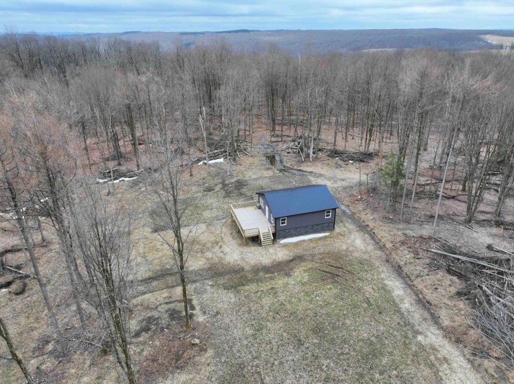 80 acres Cabin with Hunting Land and Recreational Land bordering State Land in Cherry Creek NY Swanson Rd featured image