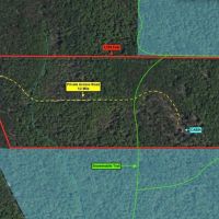 80 acres Cabin with Hunting Land and Recreational Land bordering State Land in Cherry Creek NY Swanson Rd images 2