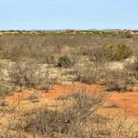New Listing 320 - Acres Knox County images 3