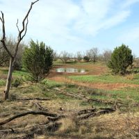 New Listing 320 - Acres Knox County images 5