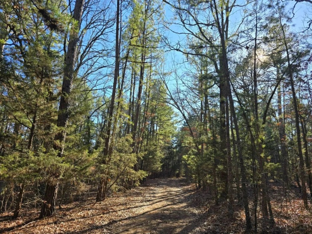 SHORTY CREEK 5 ACRES featured image