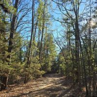 SHORTY CREEK 5 ACRES