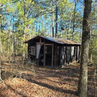 SHORTY CREEK 5 ACRES images 3