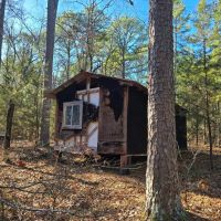SHORTY CREEK 5 ACRES images 5