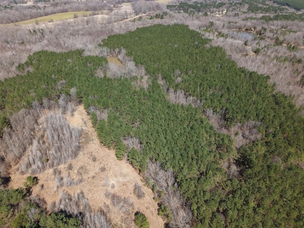 80 Acres in Marshall County MS featured image