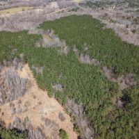 80 Acres in Marshall County MS