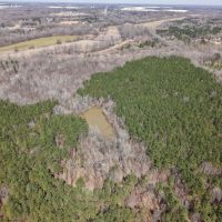 80 Acres in Marshall County MS images 2