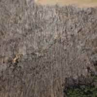 80 Acres in Marshall County MS images 3