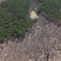 80 Acres in Marshall County MS images 4