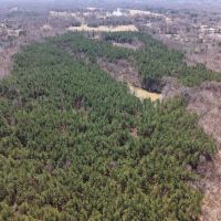 80 Acres in Marshall County MS images 5