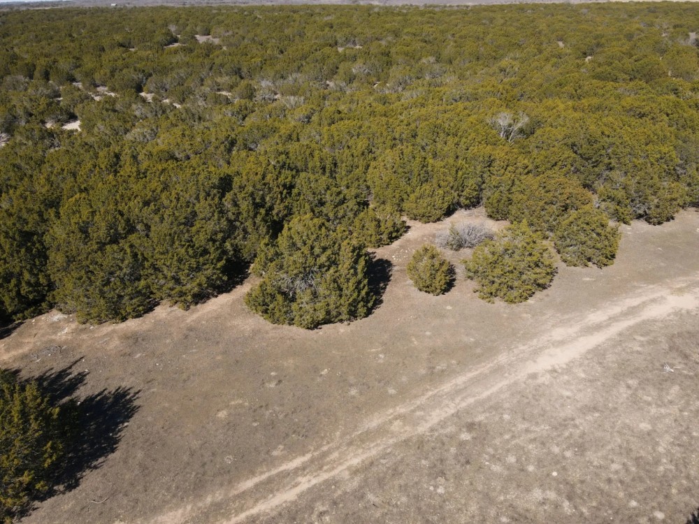 122 Acres CR 105 featured image