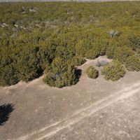 122 Acres CR 105