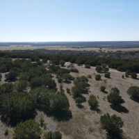 122 Acres CR 105 images 5