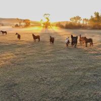 LC Ranch images 3