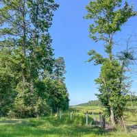 1 334 Acres FM 1008 images 4