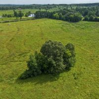 6 - Acres T-2 FM 2867 images 3