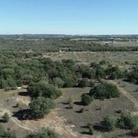 Quality oaks and homesites 50 miles from Downtown Ft. Worth images 2