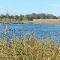194 Acres TBD FM 2114 Clifton TX 76634 images 4