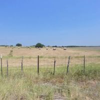 194 Acres TBD FM 2114 Clifton TX 76634 images 5