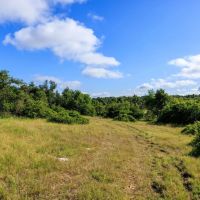 875 Gypsum Mine Road images 2