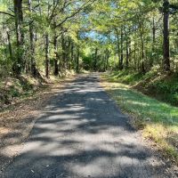 Copiah.72 images 1