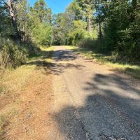 Copiah.72 images 2