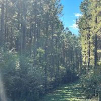 Copiah.72 images 4