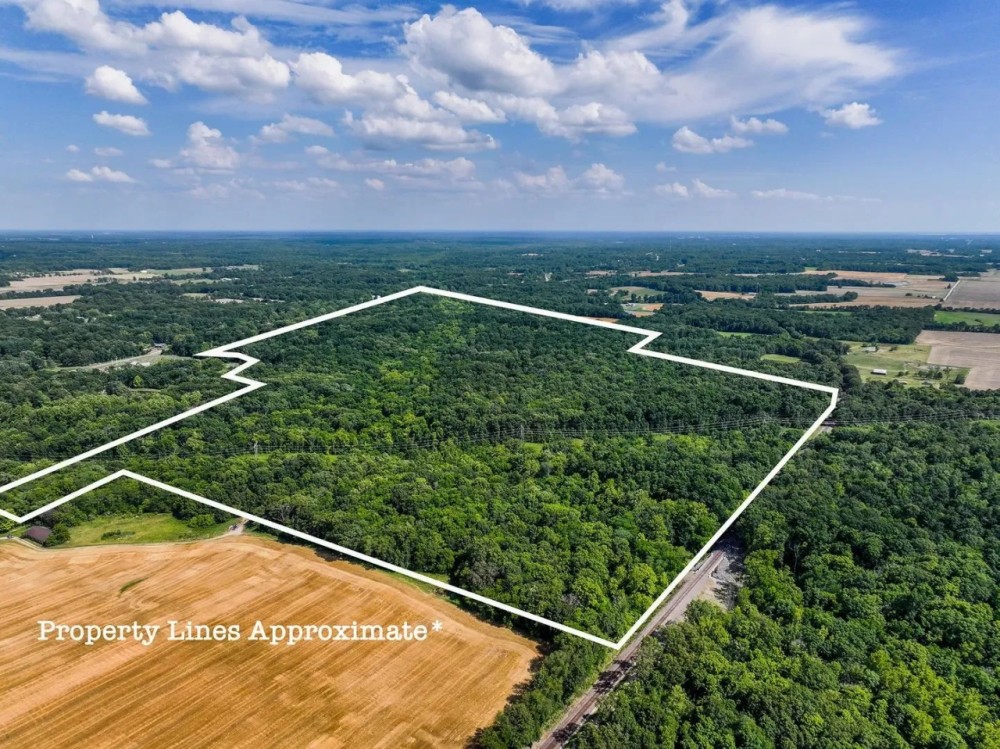 Approximately 133 acres of rolling hills and wooded bliss in Dix IL featured image