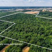 Approximately 133 acres of rolling hills and wooded bliss in Dix IL images 2