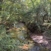 522 acres in Spalding County images 3