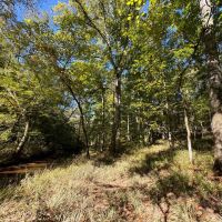 522 acres in Spalding County images 5