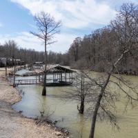 Brookings Black River Cabin images 2