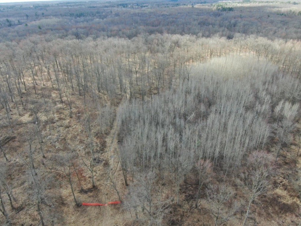 75-acre parcel in the heart of Clark County Wisconsin featured image