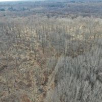 75-acre parcel in the heart of Clark County Wisconsin images 2