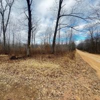 75-acre parcel in the heart of Clark County Wisconsin images 4