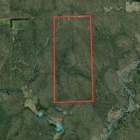 75-acre parcel in the heart of Clark County Wisconsin images 5