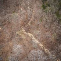 Turtle Glade Retreat images 2