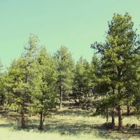 Twin Creek Ranch images 4