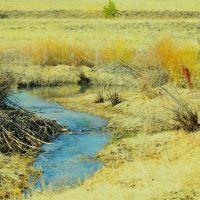 Twin Creek Ranch images 5