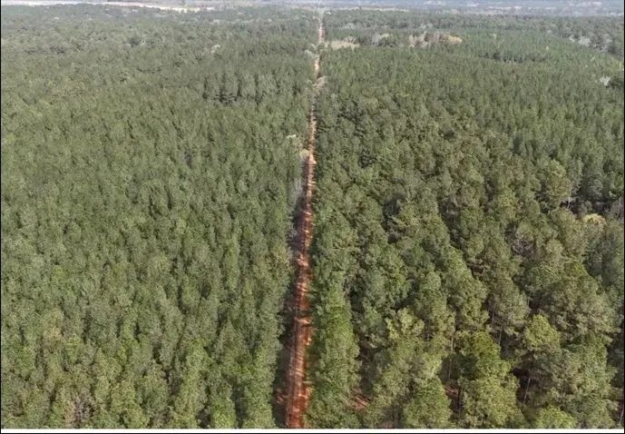 151.8 Acres in Smith County in Raleigh MS featured image