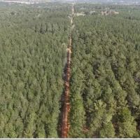 151.8 Acres in Smith County in Raleigh MS
