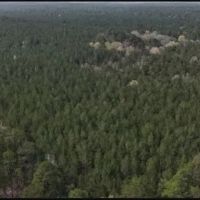 151.8 Acres in Smith County in Raleigh MS images 2